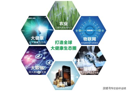 鵬睿實業 全球大健康領域的黑馬品牌，以全產業鏈模式領跑，擬A股上市加速發展