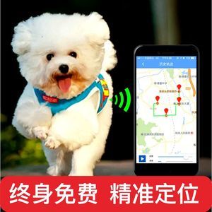 寵物追蹤器項(xiàng)圈 讓愛與安全同行